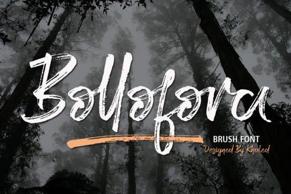 Bollofora: A Handwritten Font That Elevates Small Business Branding