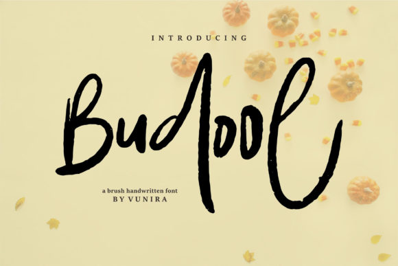 Budool: A Clean & Versatile Script Handwritten Font