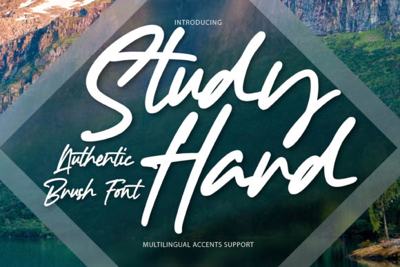 Study Hard: A Handwritten Font That Elevates Small Business Branding